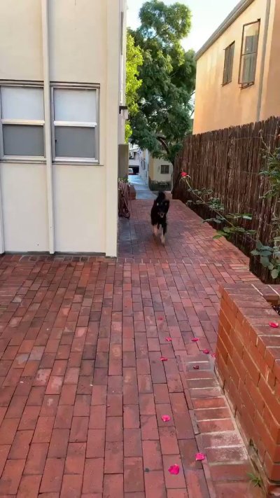 Watch Chris Salvatore's leaked NSFW video on TwXstars