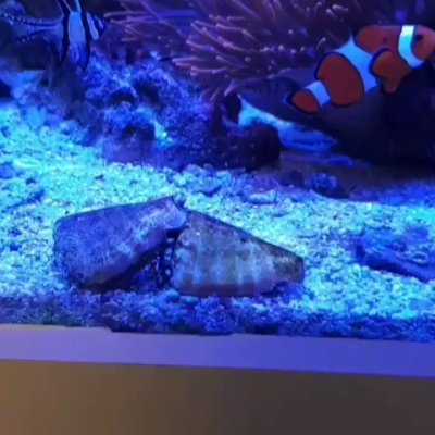 Watch Candy Samira's leaked NSFW video on TwXstars