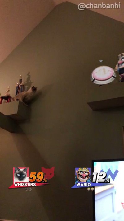 Watch chan's leaked NSFW video on TwXstars