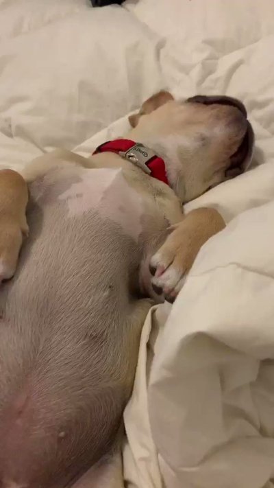 Watch Angie Varona™'s leaked NSFW video on TwXstars