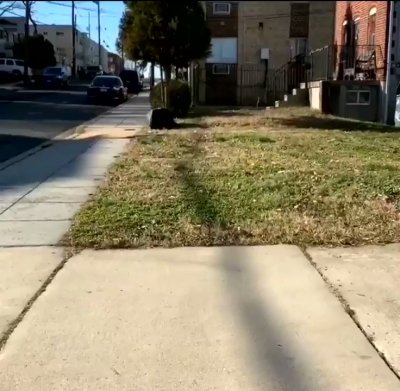 Watch Mateus's leaked NSFW video on TwXstars