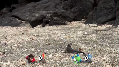 Watch chan's leaked NSFW video on TwXstars