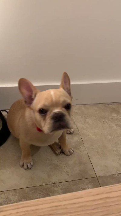 Watch Angie Varona™'s leaked NSFW video on TwXstars