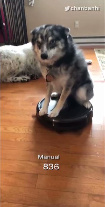 Watch chan's leaked NSFW video on TwXstars