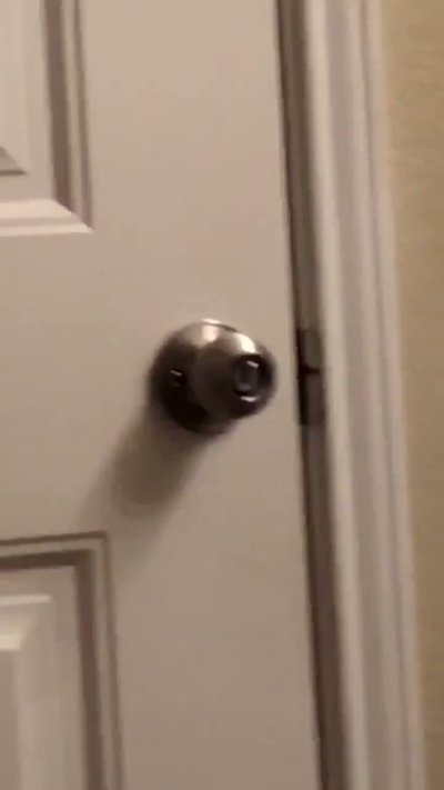 Watch Perfectly Cut Screams's leaked NSFW video on TwXstars