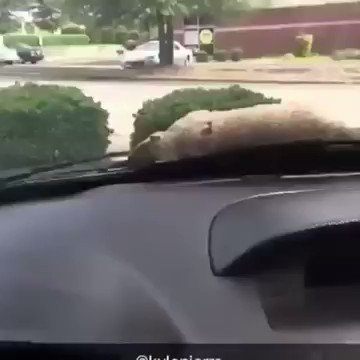 Watch Perfectly Cut Screams's leaked NSFW video on TwXstars