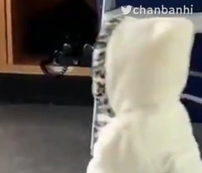 Watch chan's leaked NSFW video on TwXstars
