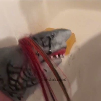 Watch Perfectly Cut Screams's leaked NSFW video on TwXstars