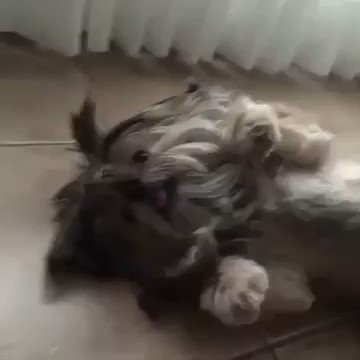 Watch Perfectly Cut Screams's leaked NSFW video on TwXstars