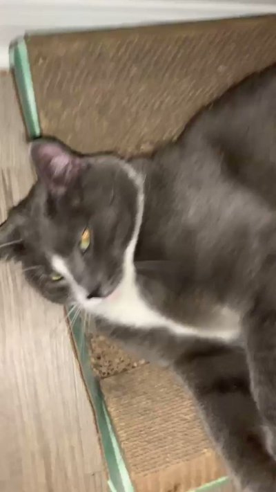 Watch maddy🧁's leaked NSFW video on TwXstars