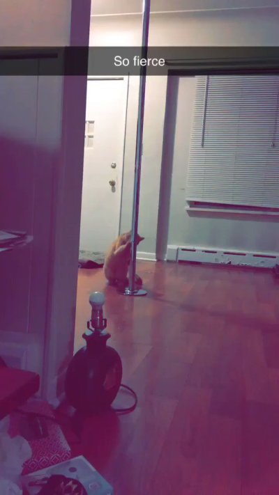 Watch temporarily away 💕's leaked NSFW video on TwXstars