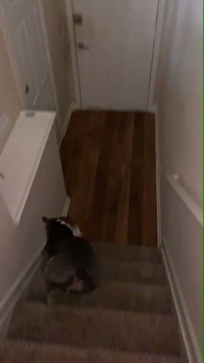 Watch 𝖘𝖜𝖊𝖊𝖙𝖍𝖊𝖆𝖗𝖙♥️'s leaked NSFW video on TwXstars