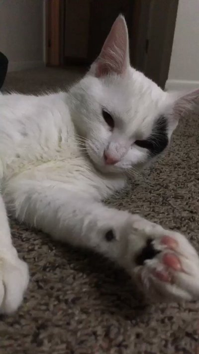 Watch alice pink 💓's leaked NSFW video on TwXstars