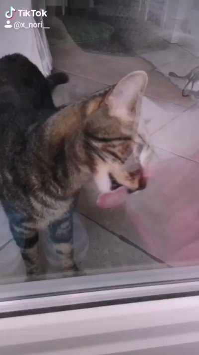 Watch 🌸Nori🌸's leaked NSFW video on TwXstars