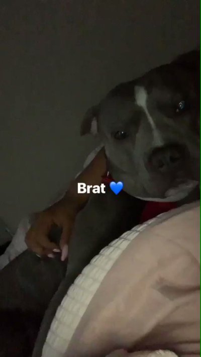 Watch 𝖘𝖜𝖊𝖊𝖙𝖍𝖊𝖆𝖗𝖙♥️'s leaked NSFW video on TwXstars