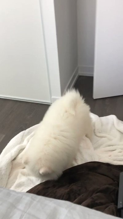 Watch saira 🦇's leaked NSFW video on TwXstars