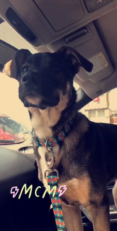 Watch indica flower 🤍✨'s leaked NSFW video on TwXstars