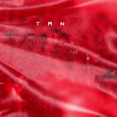 Watch Tank's leaked NSFW video on TwXstars