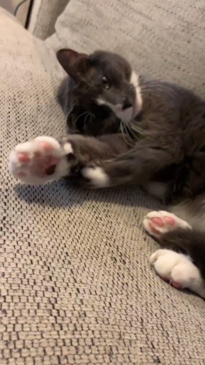 Watch maddy🧁's leaked NSFW video on TwXstars