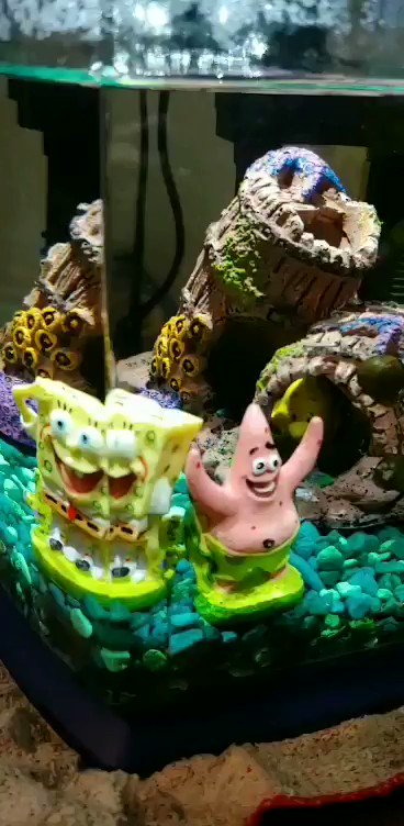 Watch Doctor No's leaked NSFW video on TwXstars