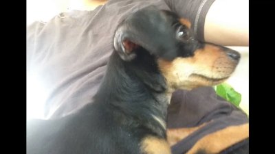 Watch CanhOe's leaked NSFW video on TwXstars