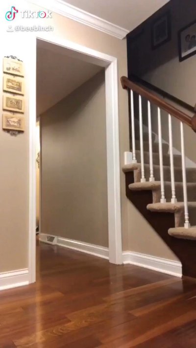 Watch mastiff's leaked NSFW video on TwXstars