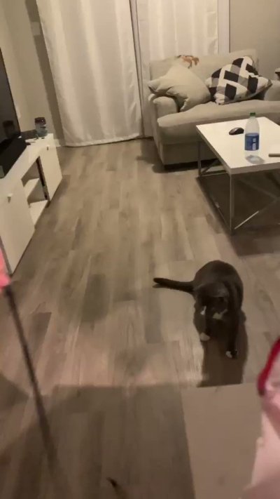 Watch maddy🧁's leaked NSFW video on TwXstars