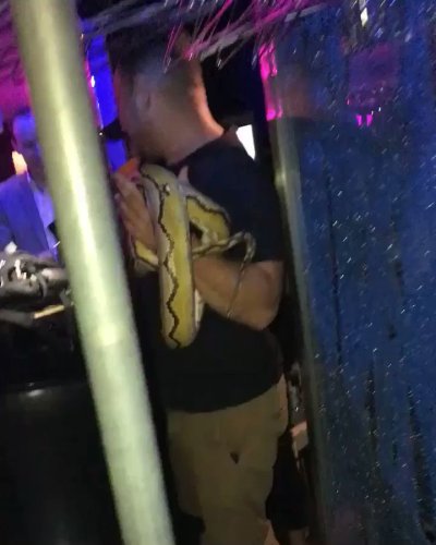 Watch Sapphire Manhattan's leaked NSFW video on TwXstars