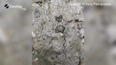 Watch Geology Page's leaked NSFW video on TwXstars