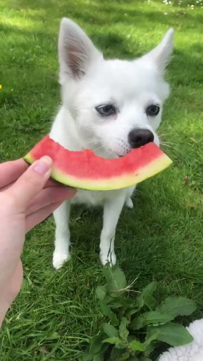 Watch Adeline Frost ✧'s leaked NSFW video on TwXstars