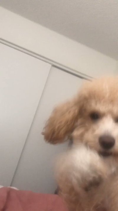 Watch K. Winn ✨👸🏾's leaked NSFW video on TwXstars