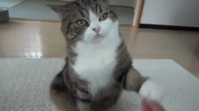 Watch YouPorn's leaked NSFW video on TwXstars