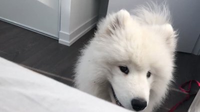 Watch saira 🦇's leaked NSFW video on TwXstars