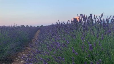 Watch naomi 💘's leaked NSFW video on TwXstars