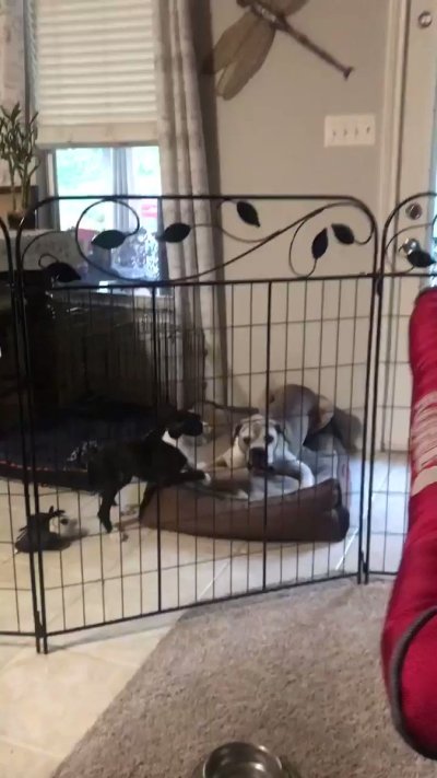 Watch Jesse Santana's leaked NSFW video on TwXstars