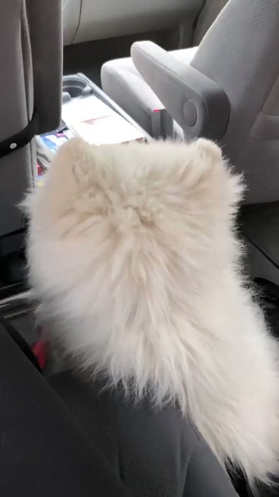 Watch saira 🦇's leaked NSFW video on TwXstars