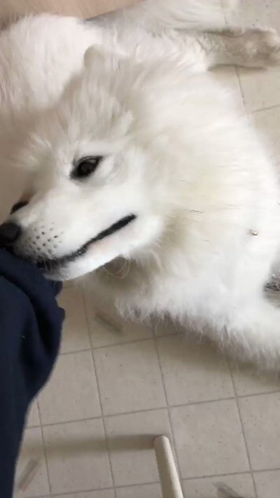 Watch saira 🦇's leaked NSFW video on TwXstars