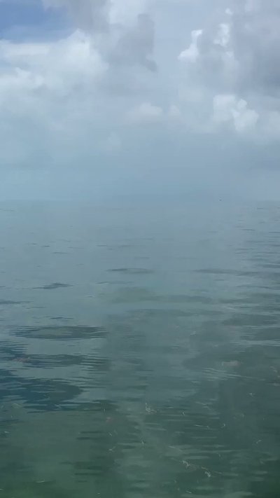 Watch Kari Nautique's leaked NSFW video on TwXstars