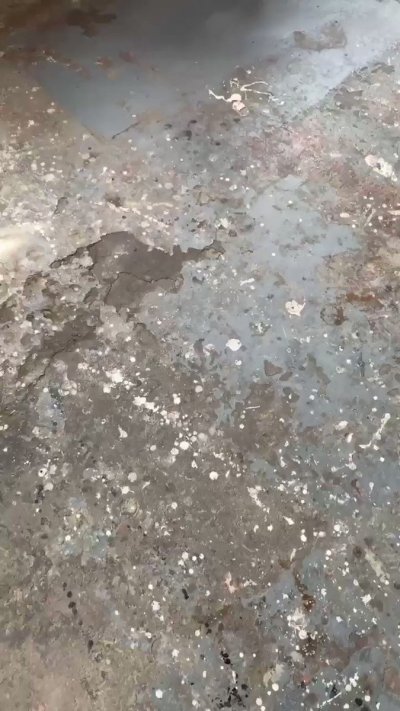 Watch Mónica Alvarez's leaked NSFW video on TwXstars