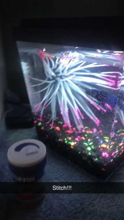 Watch TheNicoleT's leaked NSFW video on TwXstars