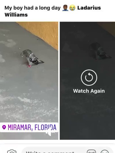 Watch 𝙁𝙡𝙤𝙧𝙞𝙙𝙖𝘽𝙤𝙮 🌴🏄🏾‍♂️'s leaked NSFW video on TwXstars