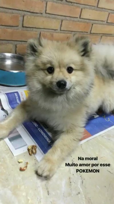 Watch BlackCat🐈‍⬛'s leaked NSFW video on TwXstars