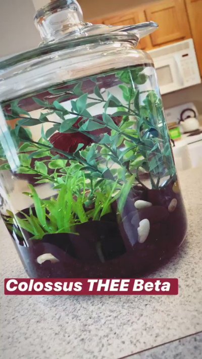 Watch 🍐's leaked NSFW video on TwXstars