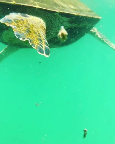 Watch Chris Salvatore's leaked NSFW video on TwXstars