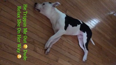 Watch Tonee. 💛's leaked NSFW video on TwXstars