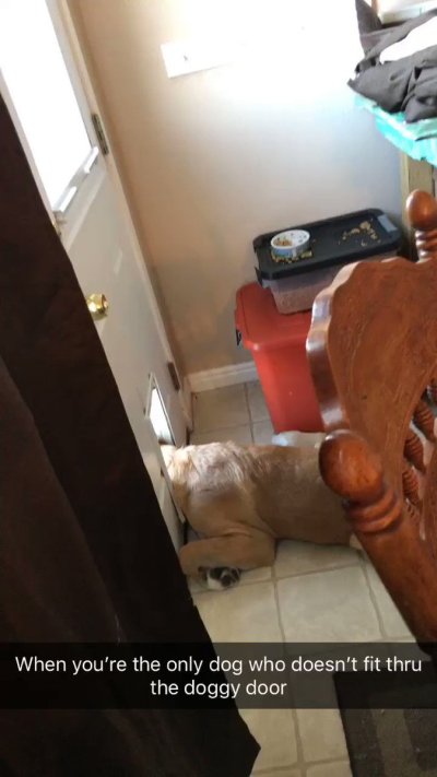 Watch 𝙺𝚊𝚢𝚕𝚎𝚎 𝚁𝚊𝚎's leaked NSFW video on TwXstars