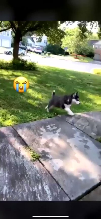 Watch moonformation ✩₊˚.⋆☾⋆⁺₊✧'s leaked NSFW video on TwXstars