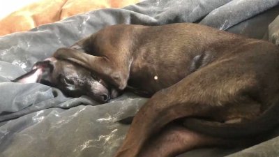 Watch Luca ✨'s leaked NSFW video on TwXstars