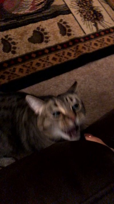 Watch Kaylee's leaked NSFW video on TwXstars