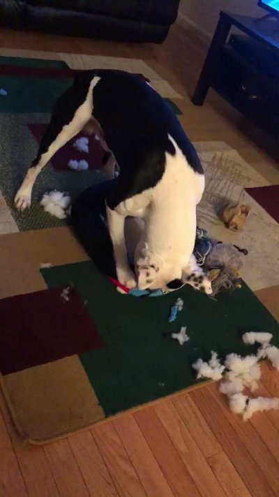 Watch Tonee. 💛's leaked NSFW video on TwXstars